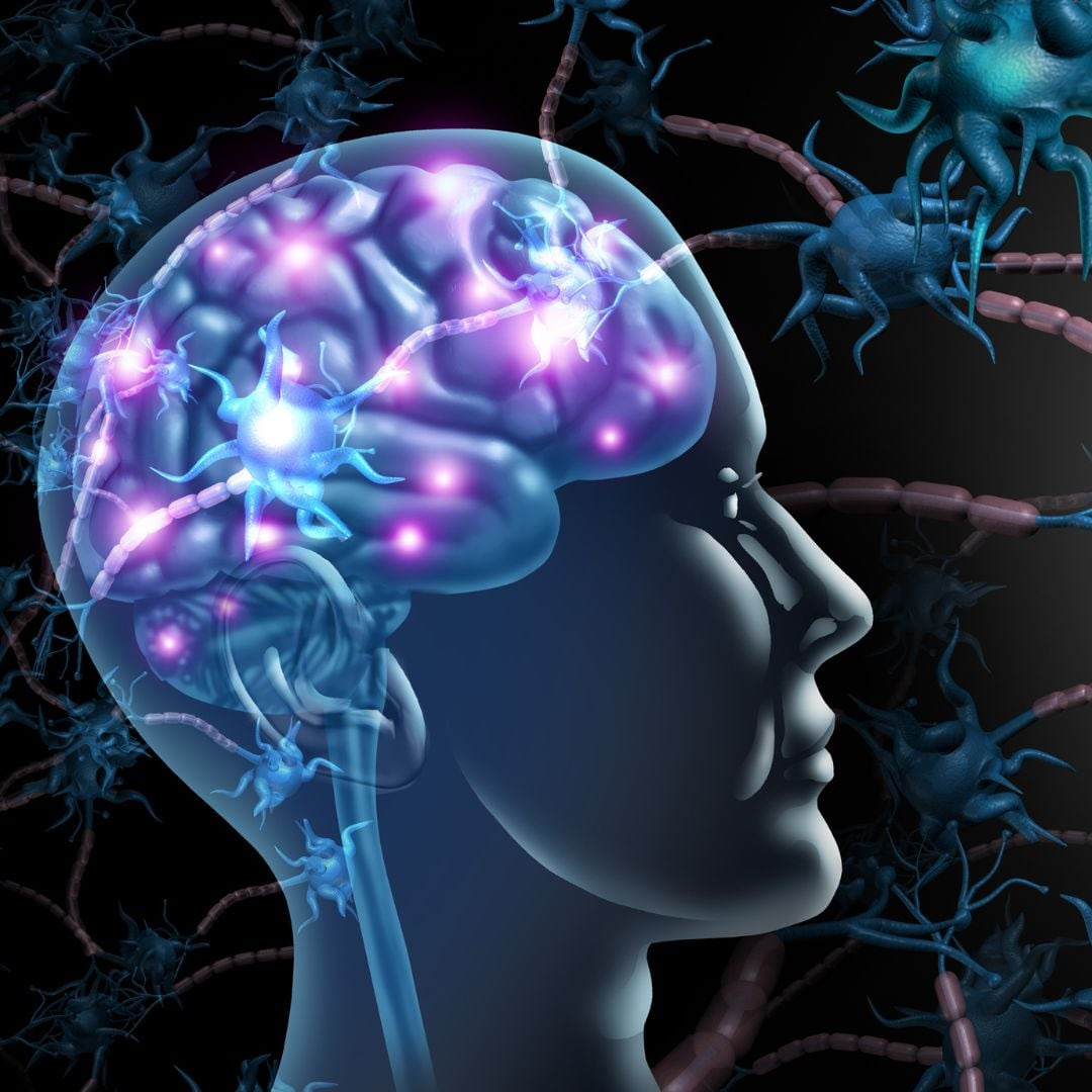 Image depicting Lightbrain
